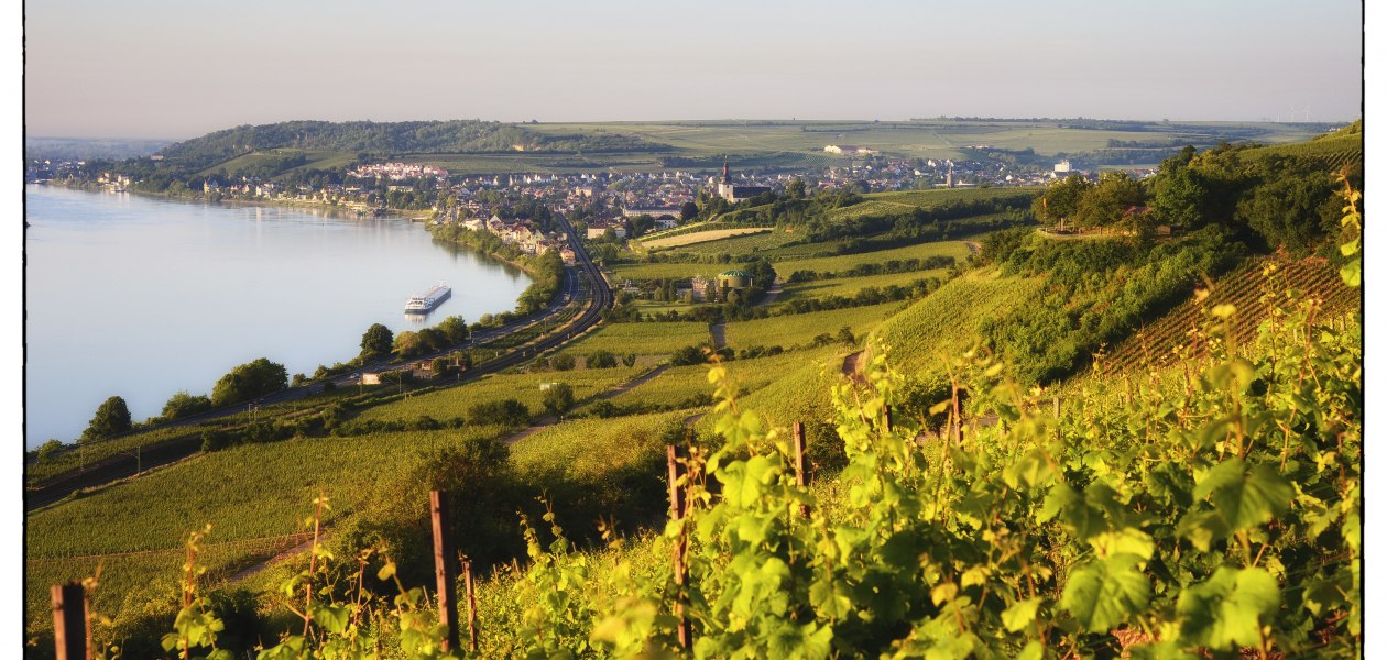 Weingut Wedekind_Panorama Hipping, © Weingut Wedekind