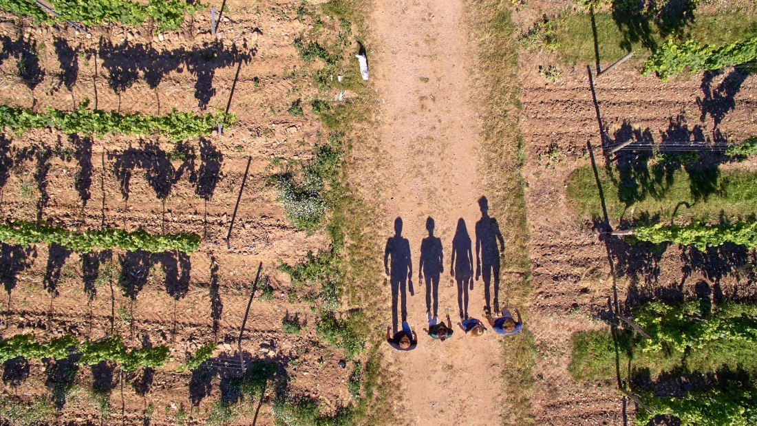 Weingut Laubenstein_Schatten, © Weingut Laubenstein