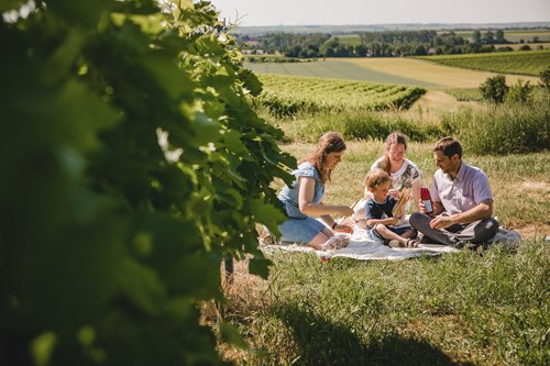 Weingut Abthof_Familie im Gras, © Weingut Abthof