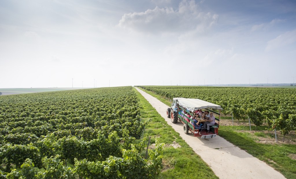 Weingut Helmut Best_Funzelfahrt, © Weingut Helmut Best